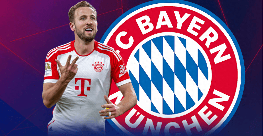 尤其是在某 尤其是在某