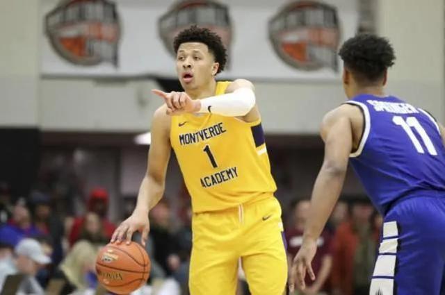 的观赏性和 的观赏性和