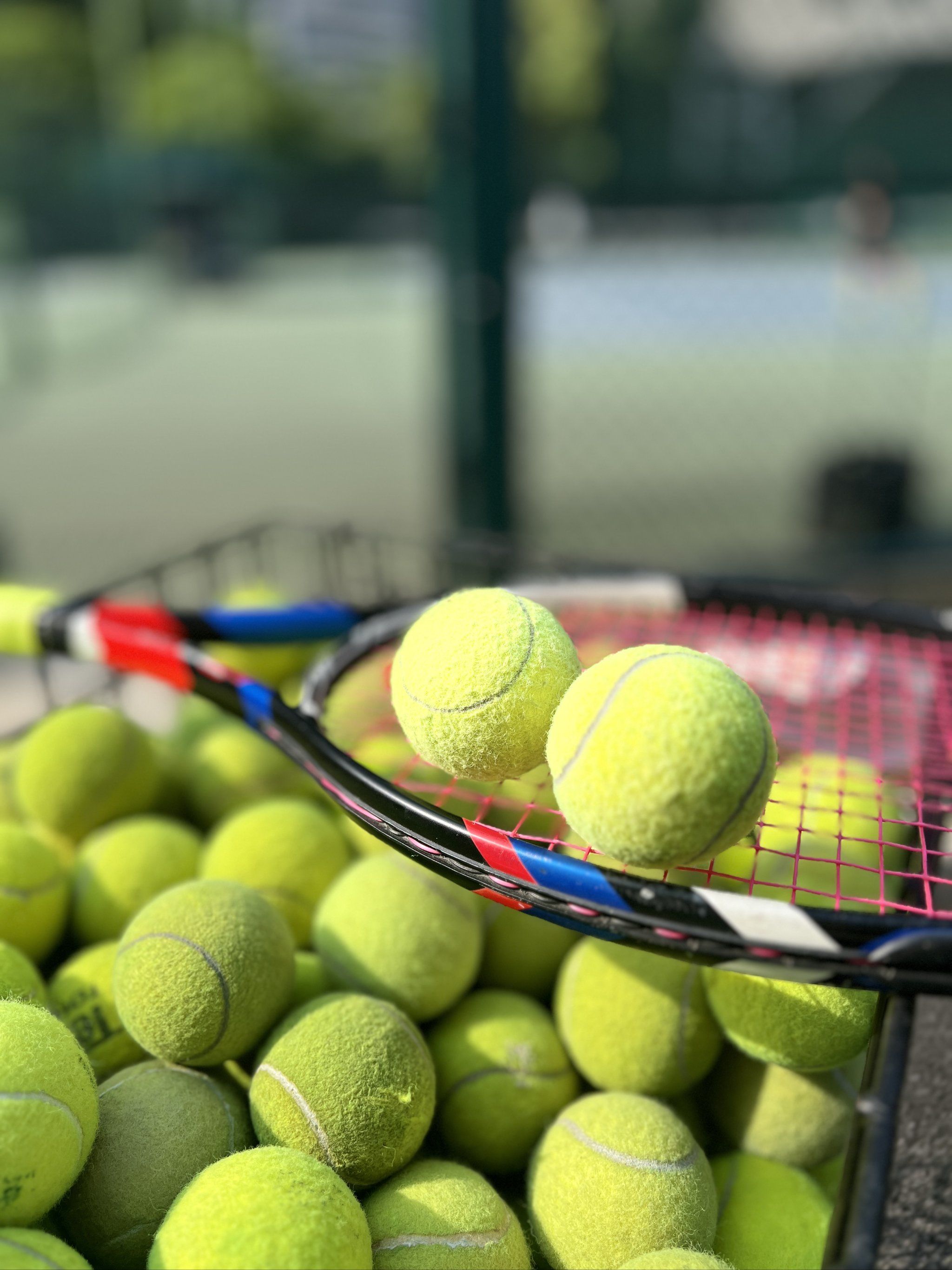 年龄增长及 年龄增长及