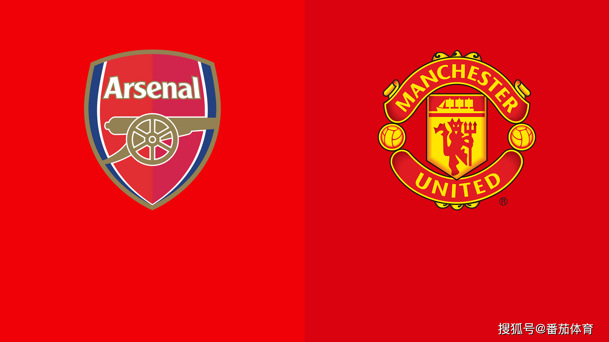 多点开花 多点开花